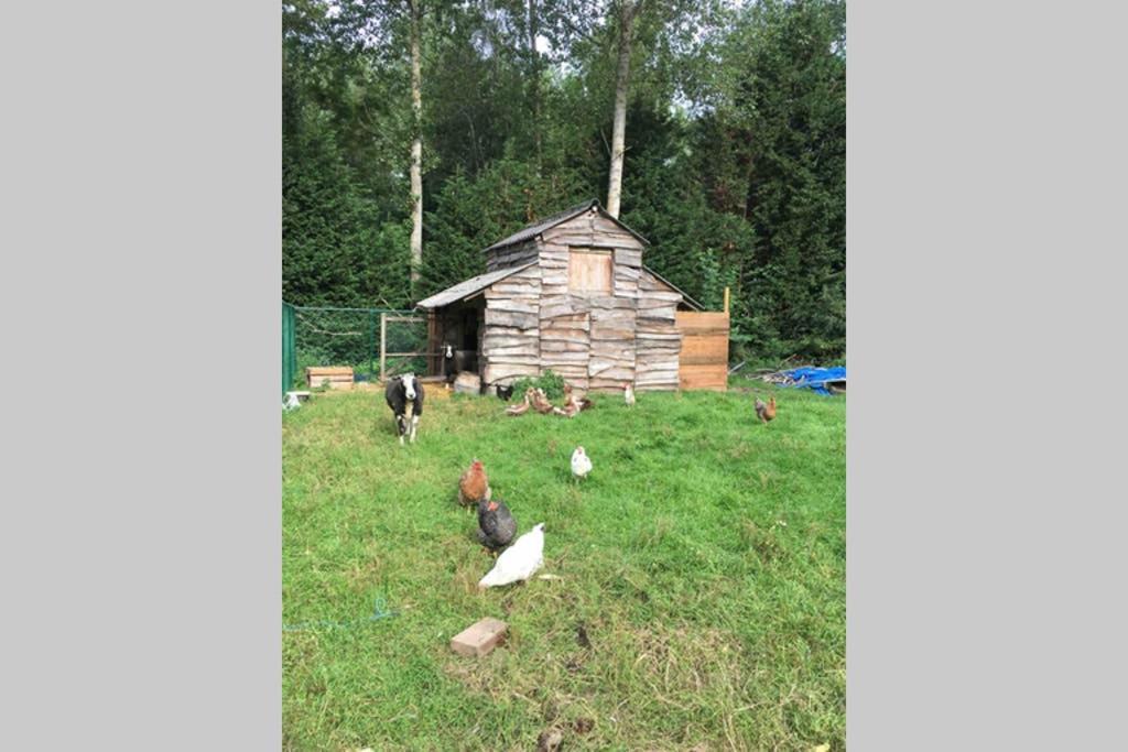 Ferienwohnung Cozy Studio On A Quaint Farm Kruibeke Exterior foto